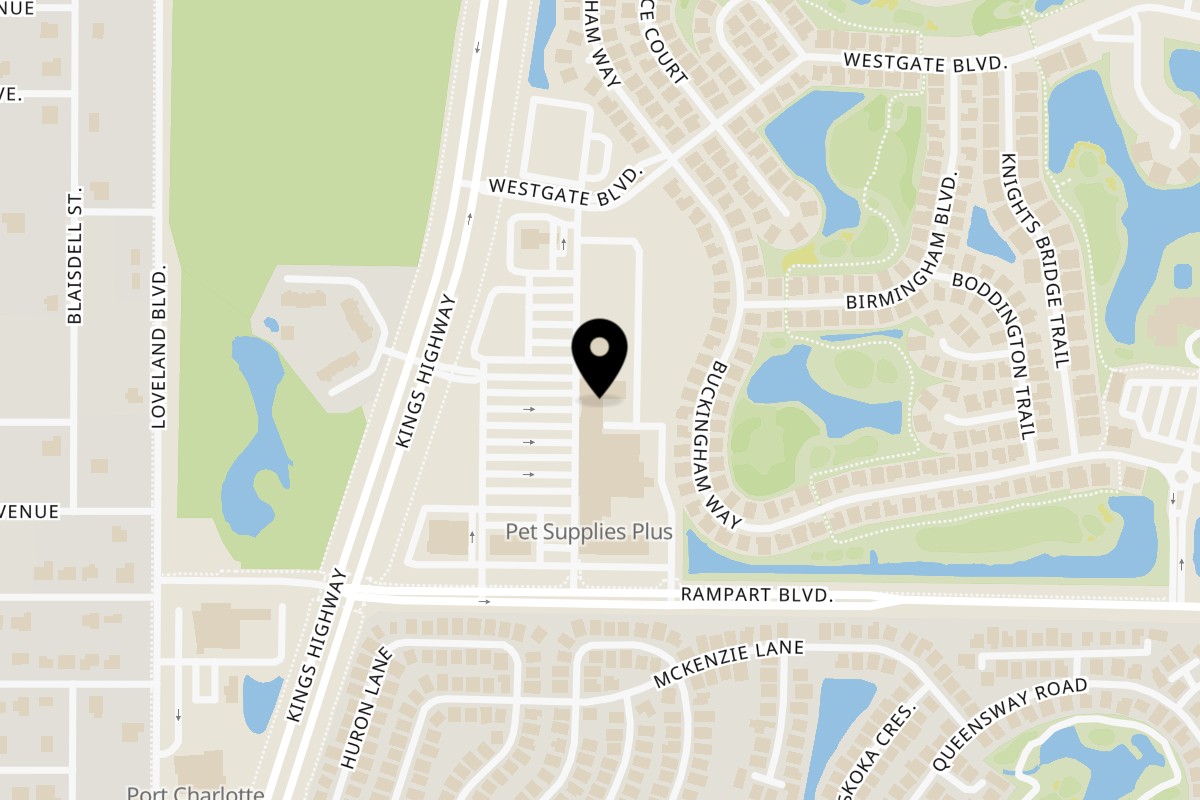 Map showing the location of Bella Napoli Pizzeria & Restaurant on 1938 Kings Hwy in Port Charlotte
